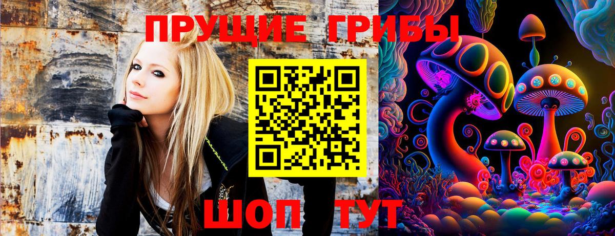 Псилоцибиновые грибы GOLDEN TEACHER Кубинка